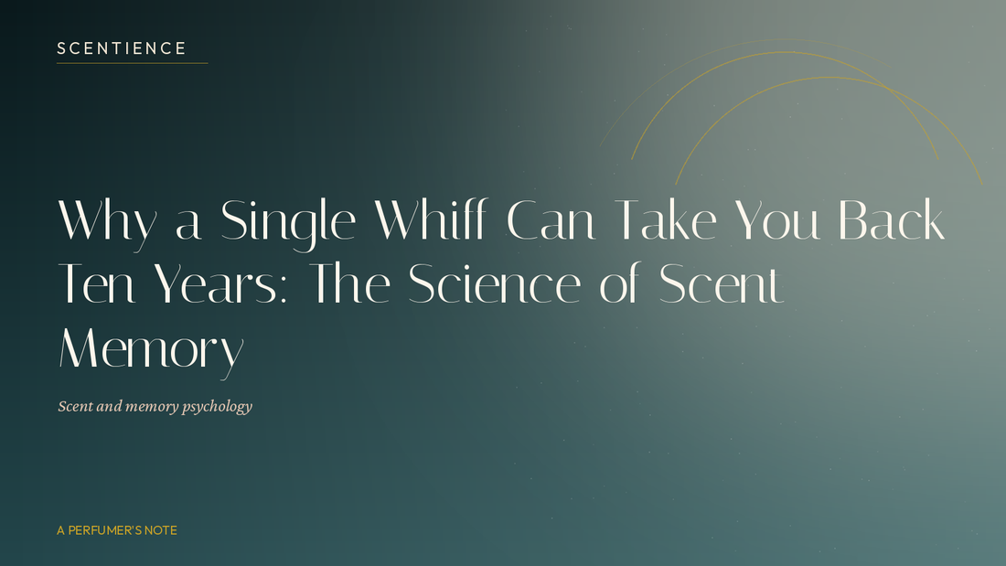 Why a Single Whiff Can Take You Back Ten Years: The Science of Scent Memory
