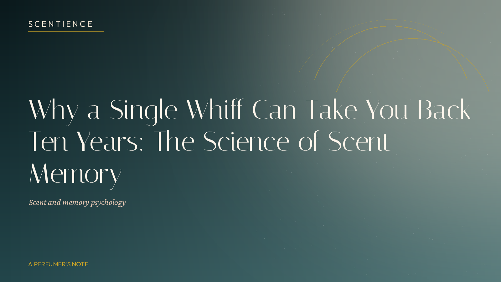 Why a Single Whiff Can Take You Back Ten Years: The Science of Scent Memory