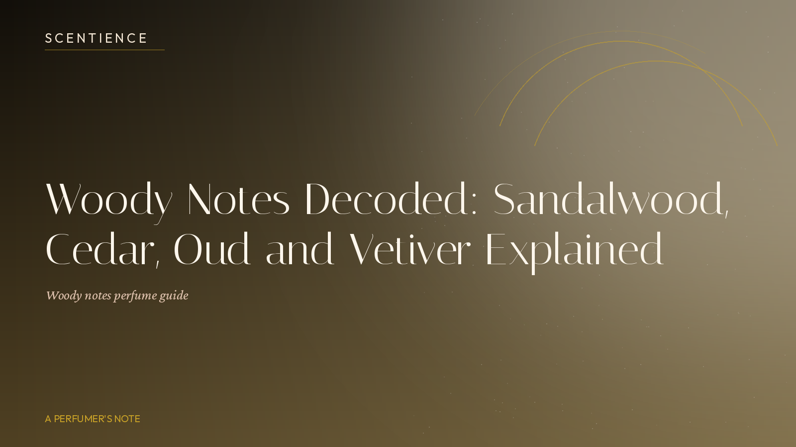 Woody Notes Decoded: Sandalwood, Cedar, Oud and Vetiver Explained