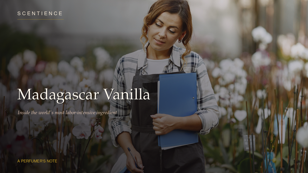 Madagascar Vanilla: Inside the World's Most Labor-Intensive Ingredient
