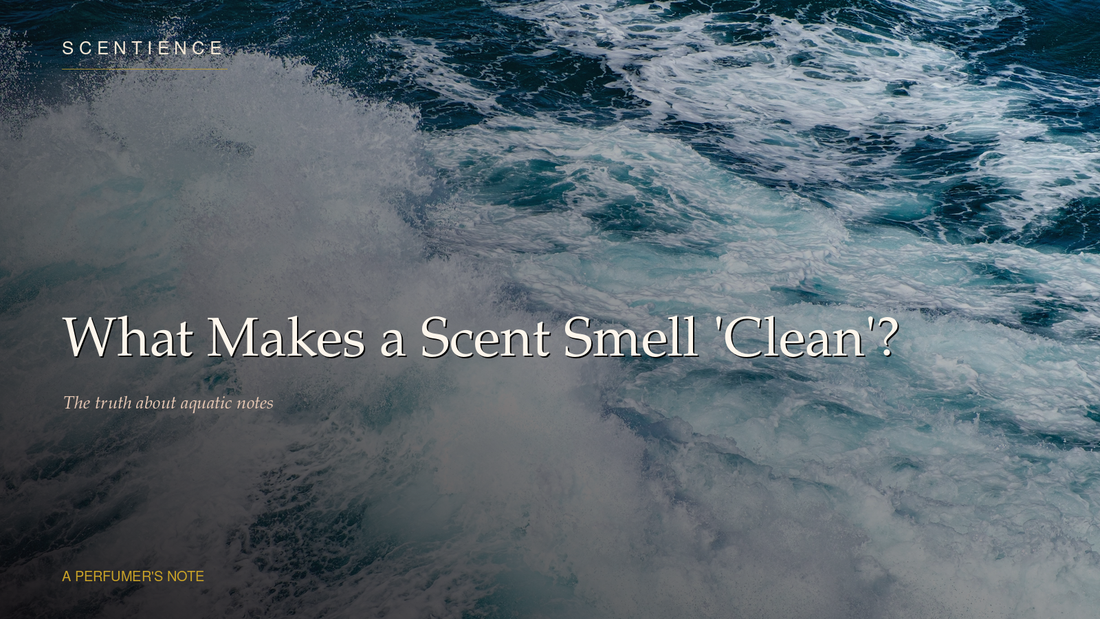 What Makes a Scent Smell 'Clean'? The Truth About Aquatic Notes