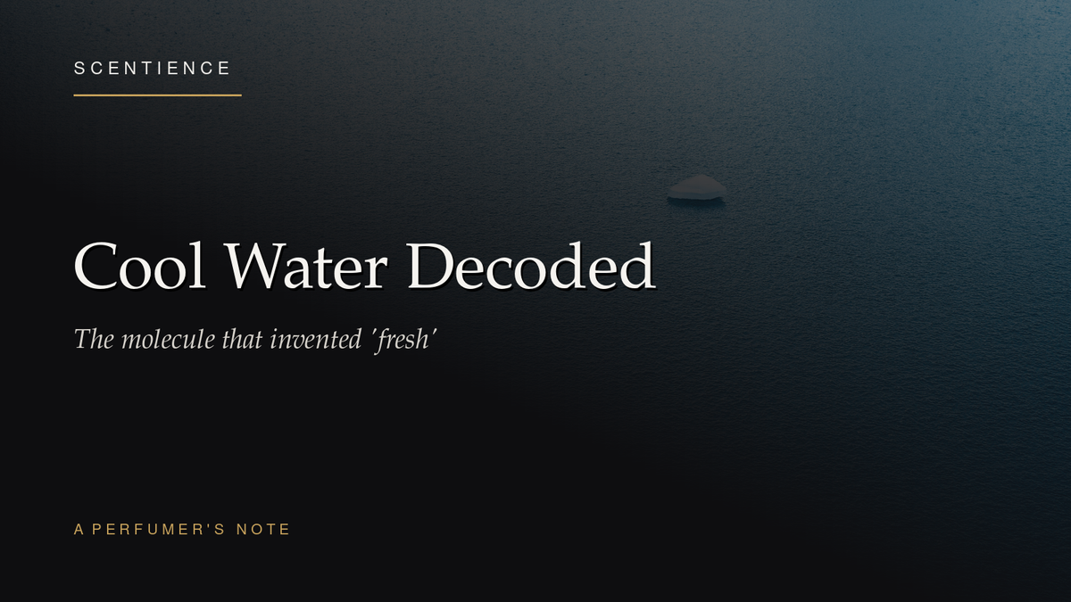 Cool Water Decoded: The Molecule That Invented 'Fresh'