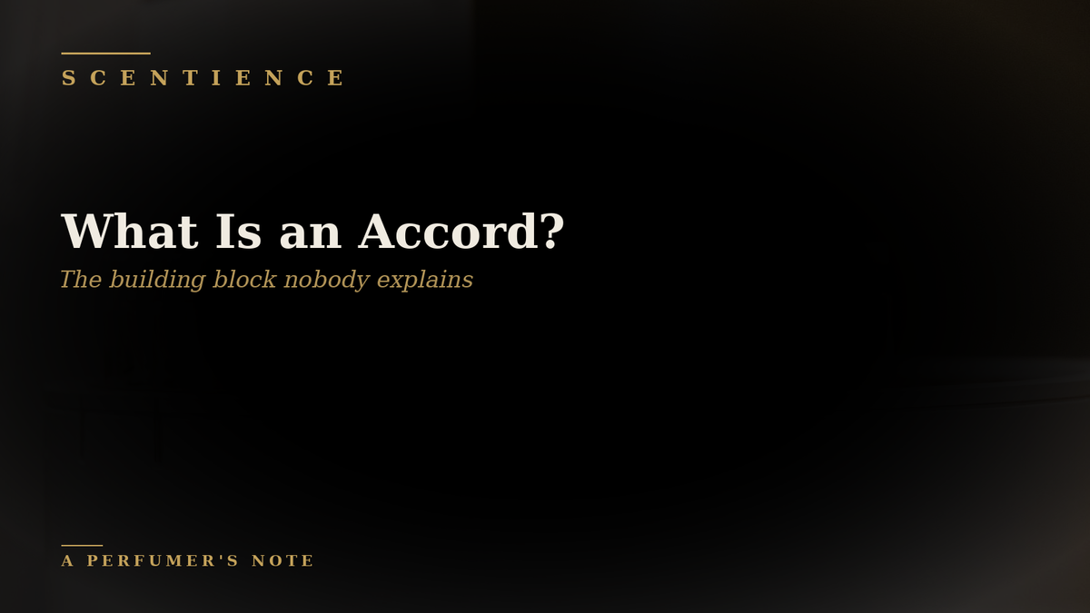 What Is an Accord? The Building Block Nobody Explains