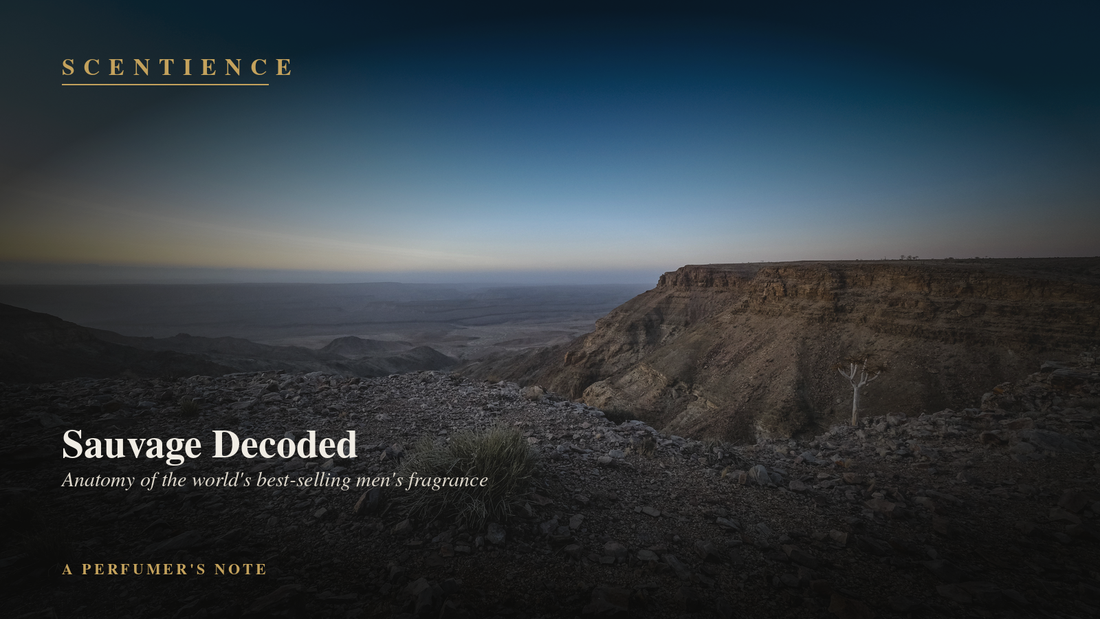 Sauvage Decoded: Anatomy of the Best-Selling Men's Fragrance on Earth