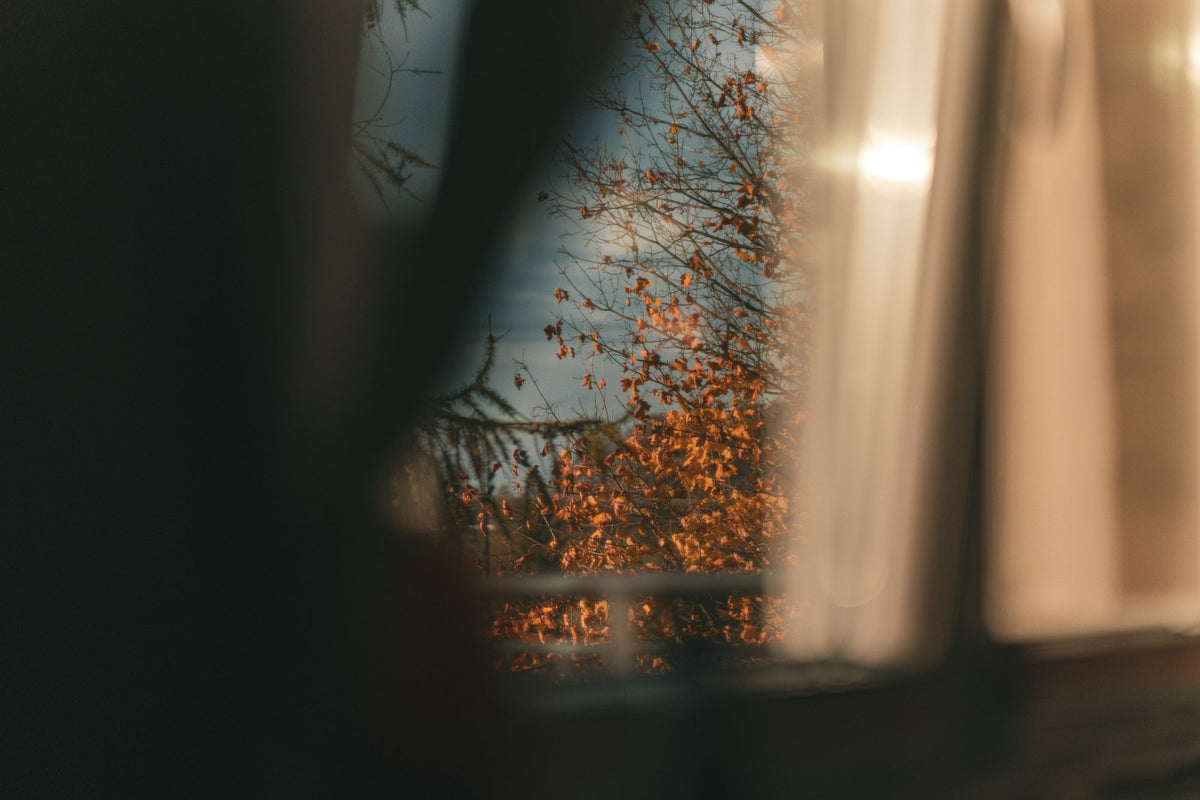 Autumn light through a window as the season turns