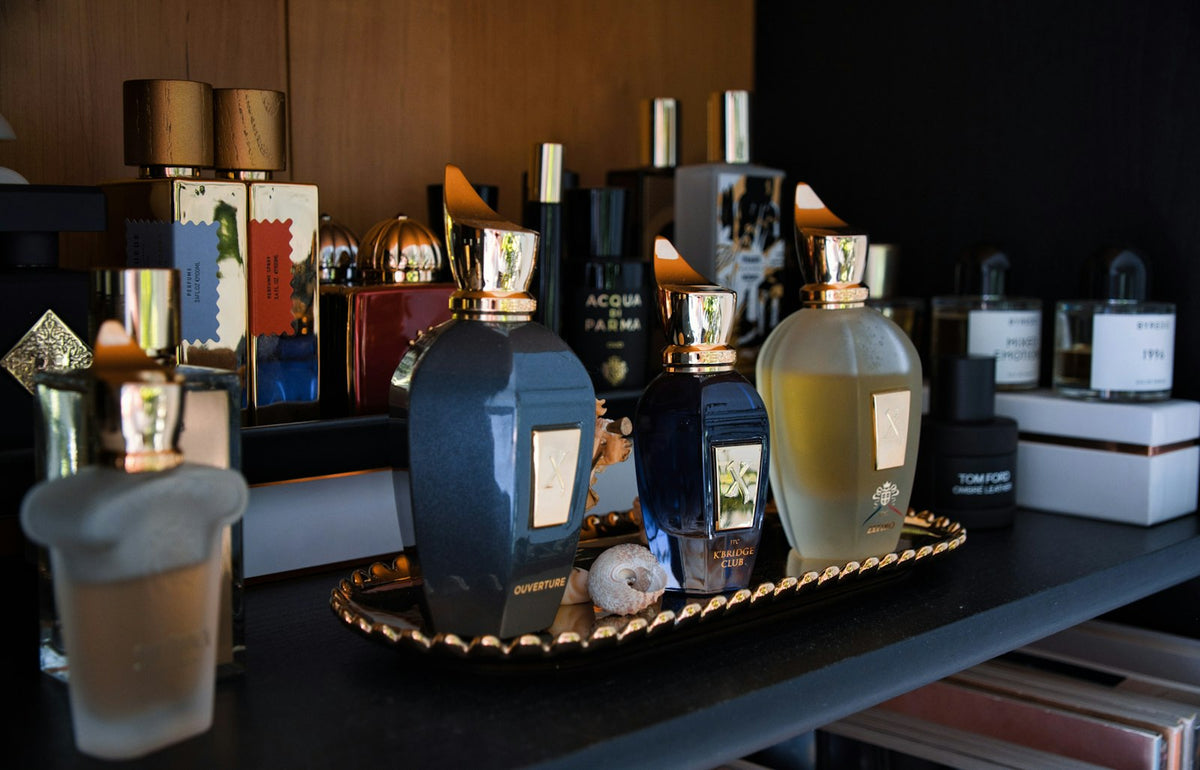 A curated shelf of assorted perfume bottles catching soft light