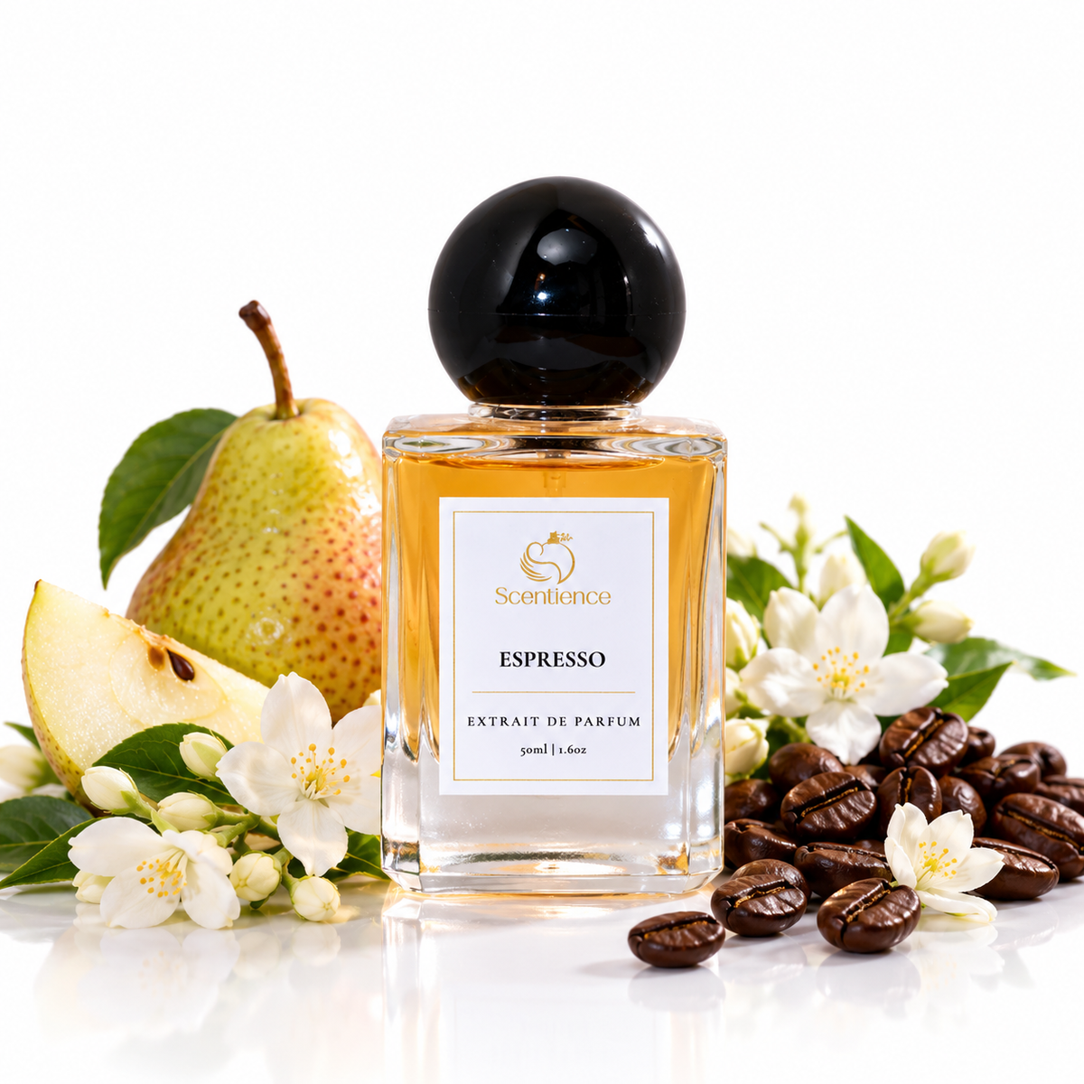 Scentience Espresso Extrait de Parfum 50ml bottle with pear, coffee beans, white jasmine flowers and vanilla pods on white