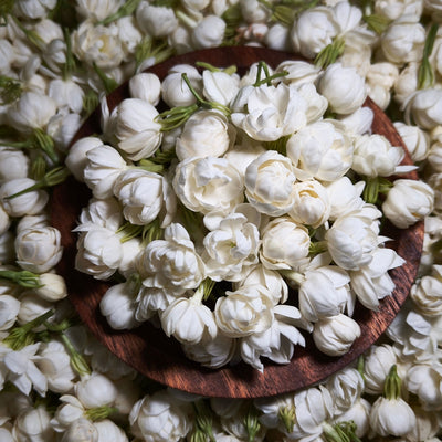 Jasmine