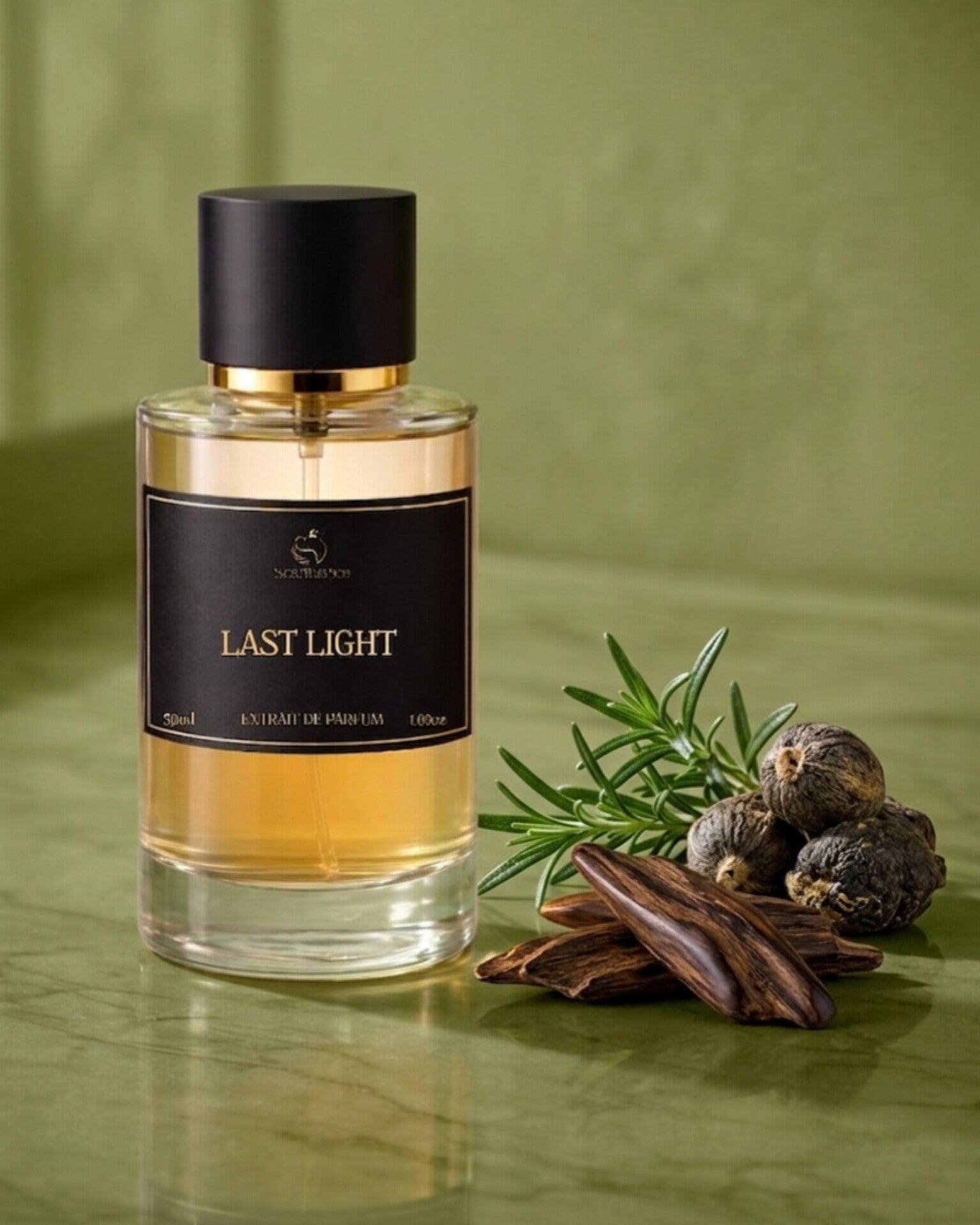 LAST LIGHT