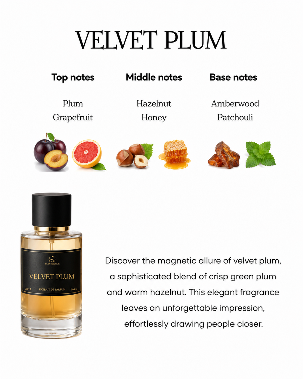 VELVET PLUM