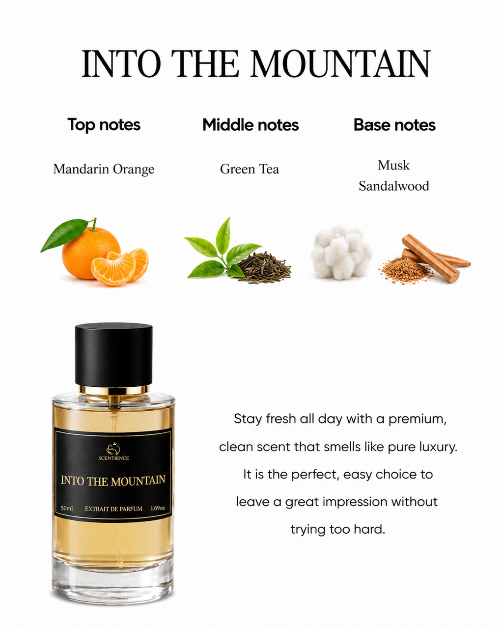 INTO THE MOUNTAIN