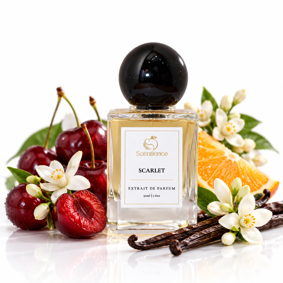 Scentience Scarlet Extrait de Parfum 50ml bottle with red cherries, orange slices, white blossoms and vanilla pods on white