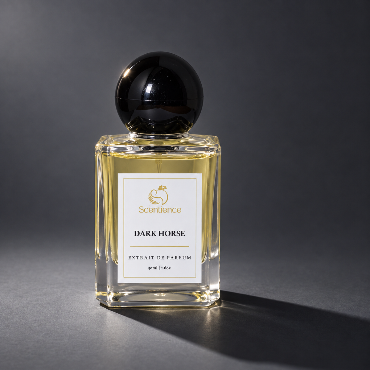 Scentience Dark Horse extrait de parfum 50ml bottle in soft studio light on a charcoal grey studio background