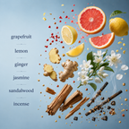 Scentience Mavrick extrait de parfum fragrance notes of grapefruit, lemon, ginger, jasmine, sandalwood, and incense displayed as a flatlay ingredient graphic on a soft blue background.