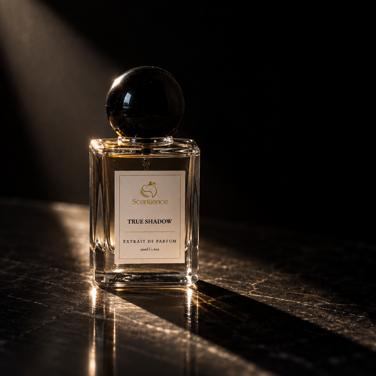 Scentience True Shadow extrait de parfum 50ml bottle in a mood shot with a dark reflective surface lit by a single beam of light